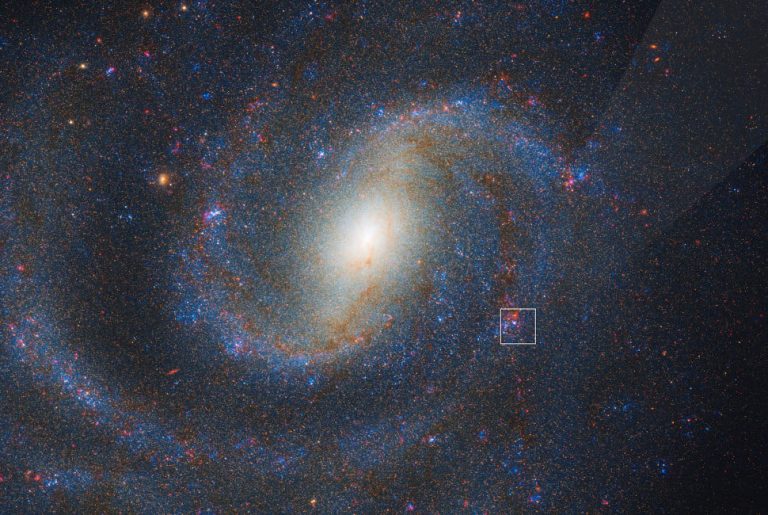 For the first time, Webb catches the before and after of a supernova