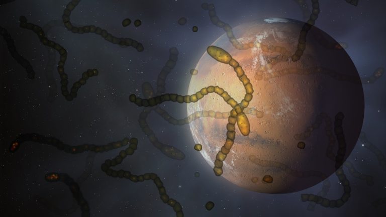 Space-traveling microbes? An unusual experiment shocked skeptics.